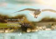 Bild 01